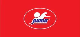 Hướng dẫn thi công sơn giả bê tông - Xám đậm PUMA PAINT