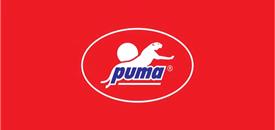 Hướng dẫn thi công sơn giả bê tông - Xám đậm PUMA PAINT