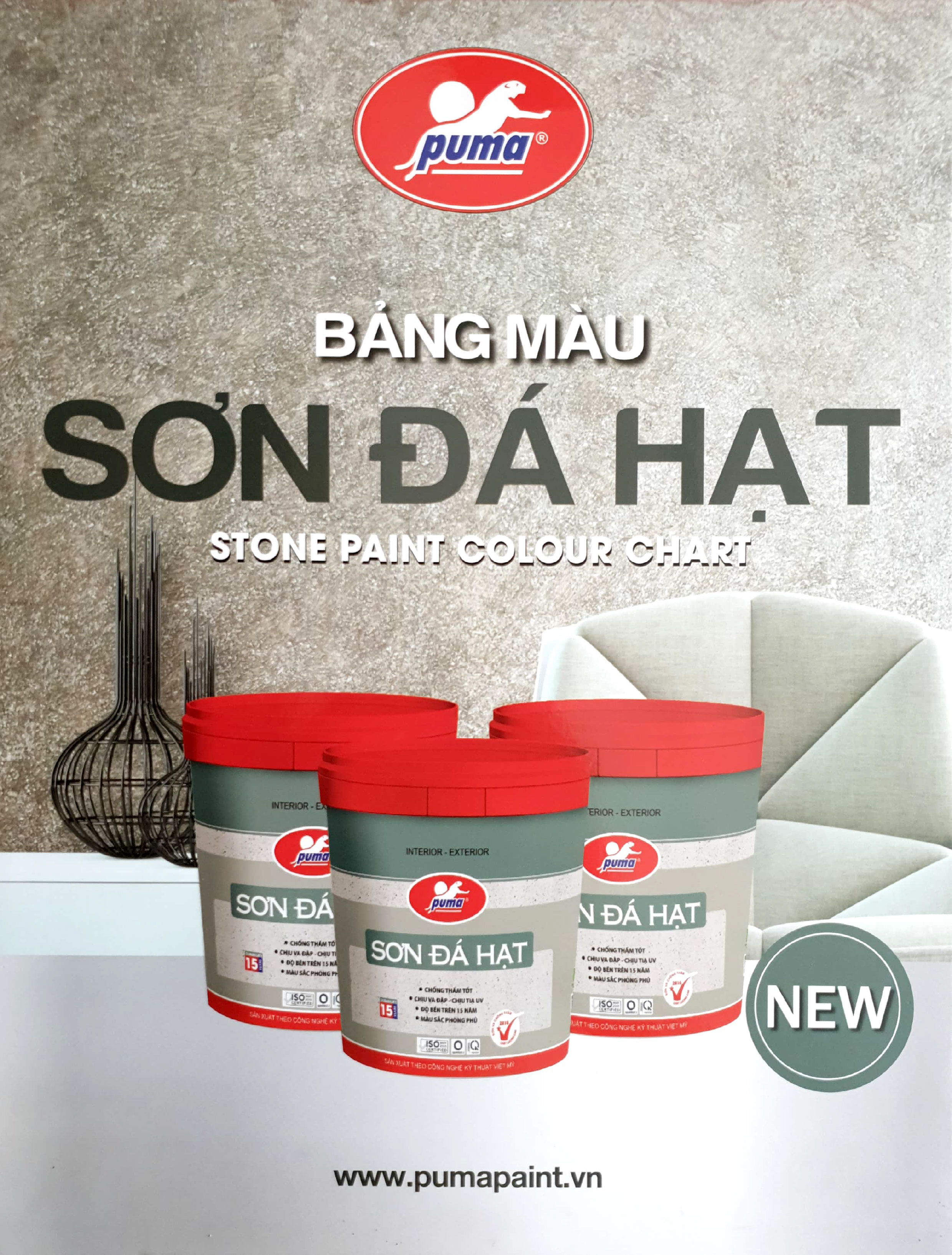 SƠN ĐÁ HẠT - ĐƠN VỊ THI CÔNG SƠN ĐÁ HẠT PUMA PAINT