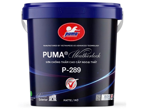 SƠN CHỐNG THẤM BÁN BÓNG  NGOẠI THẤT P-289 GOLD